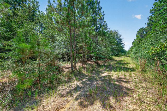 15881 Wood Grove Way, Willis, TX 77378