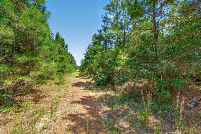 15881 Wood Grove Way, Willis, TX 77378