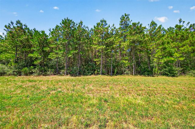 15881 Wood Grove Way, Willis, TX 77378