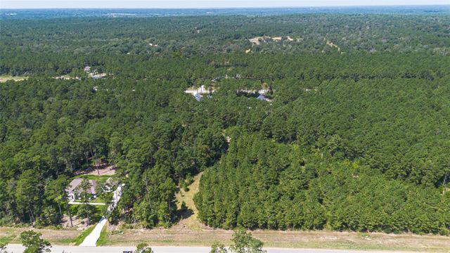15881 Wood Grove Way, Willis, TX 77378