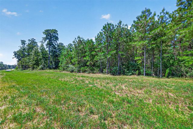 15881 Wood Grove Way, Willis, TX 77378