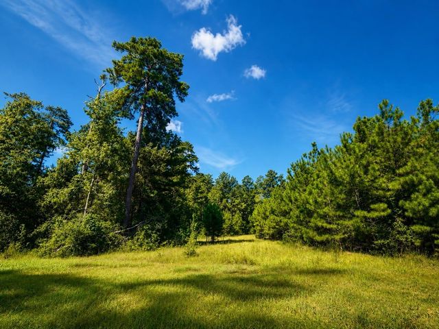 15881 Wood Grove Way, Willis, TX 77378