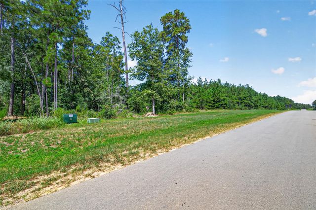 15881 Wood Grove Way, Willis, TX 77378