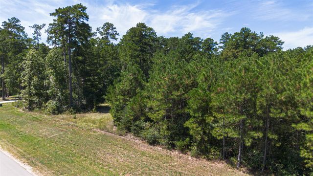 15881 Wood Grove Way, Willis, TX 77378