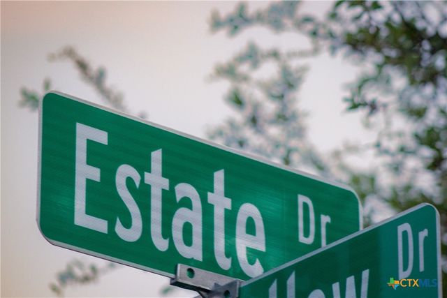 1193 Estate Drive, New Braunfels, TX 78132