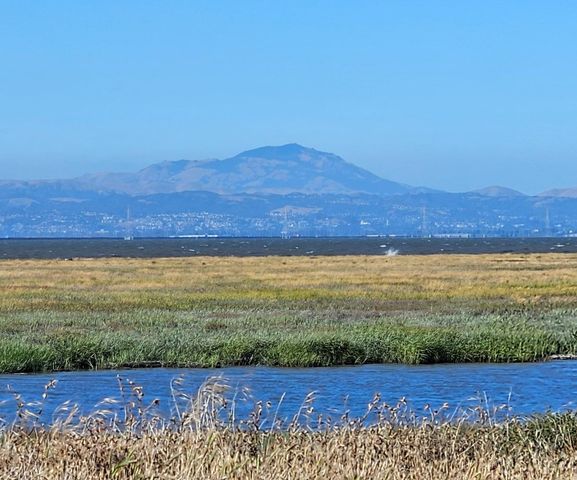 504 Waterlily Lane, Redwood City, CA 94065