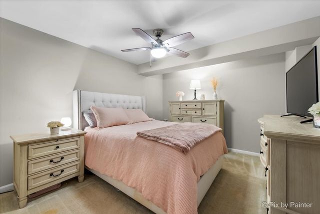 519 Shagbark Drive, Elgin, IL 60123