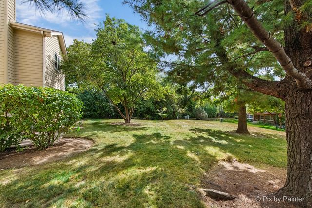 519 Shagbark Drive, Elgin, IL 60123