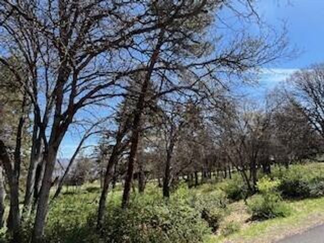 Coopers Hawk Road Lot 880, Klamath Falls, OR 97601