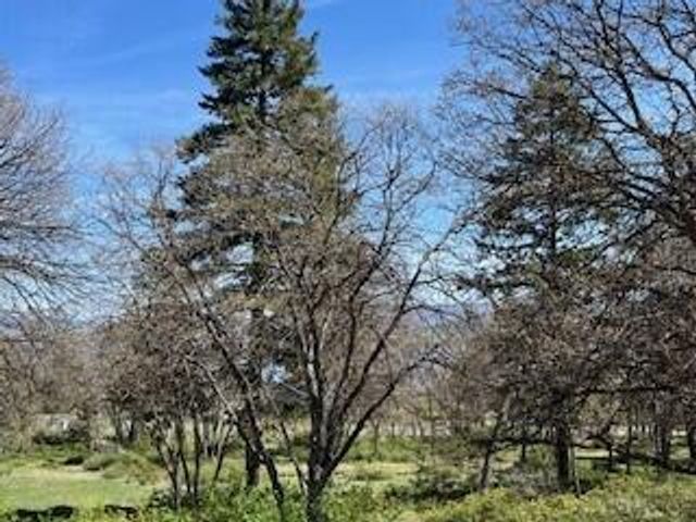 Coopers Hawk Road Lot 880, Klamath Falls, OR 97601