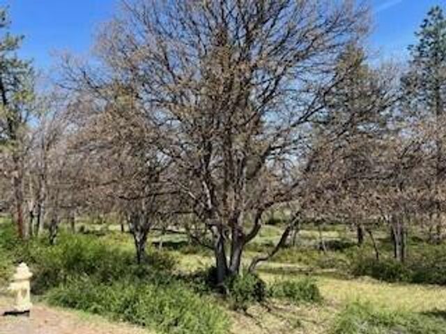 Coopers Hawk Road Lot 880, Klamath Falls, OR 97601
