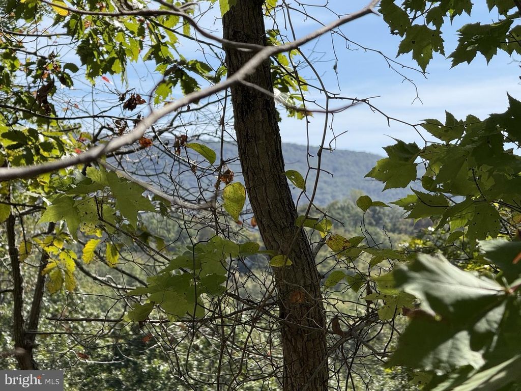 LOT 59 OLD OREGON RD, Front Royal, VA 22630
