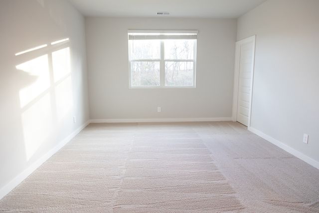 2044 Skippack PVT Circle, Gallatin, TN 37066