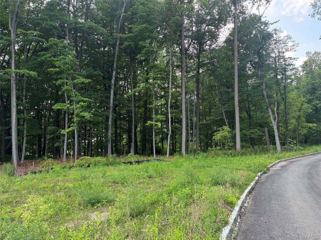 12 East Lane, Armonk, NY 10504 — photo 3