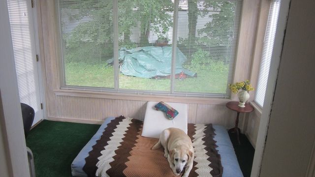 65 Fuller Ter, Newton, MA 02465