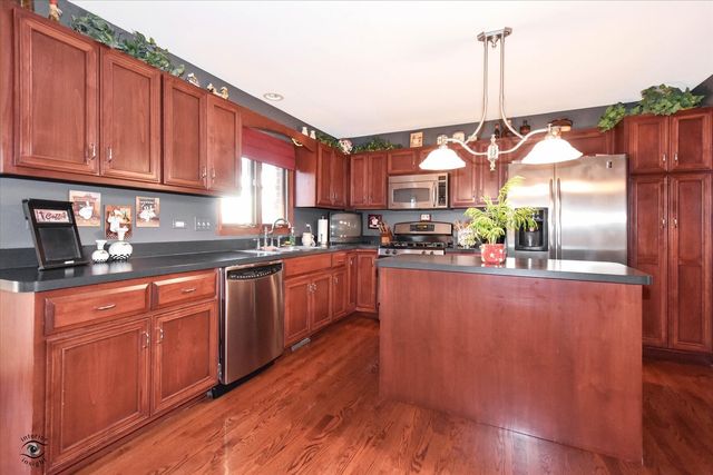14736 S Carlton Lane, Homer Glen, IL 60491