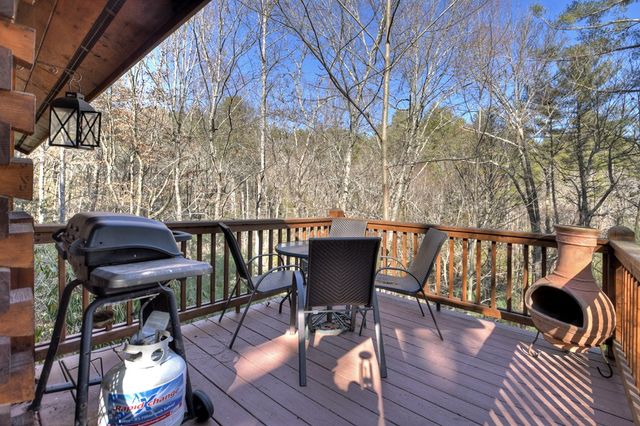 37 Dean Court, Blue Ridge, GA 30513