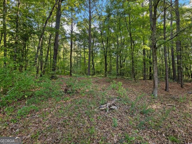 4023 Anvil Block Road, Ellenwood, GA 30294