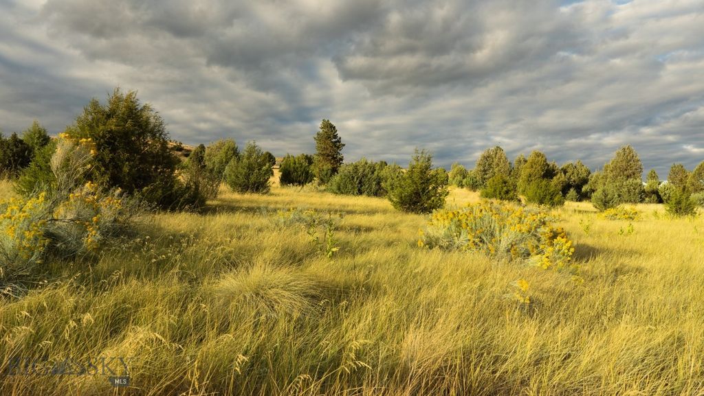 Address unavailable. photo 48