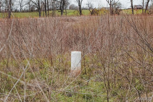 0 County Road 260, Bloomfield, MO 63825