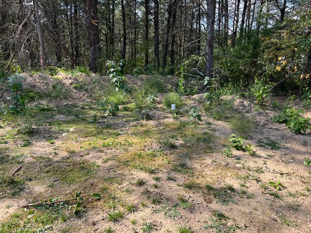 213 Memory Lane, Roscommon, MI 48653