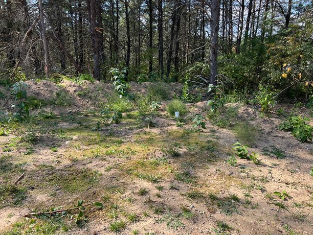 213 Memory Lane, Roscommon, MI 48653