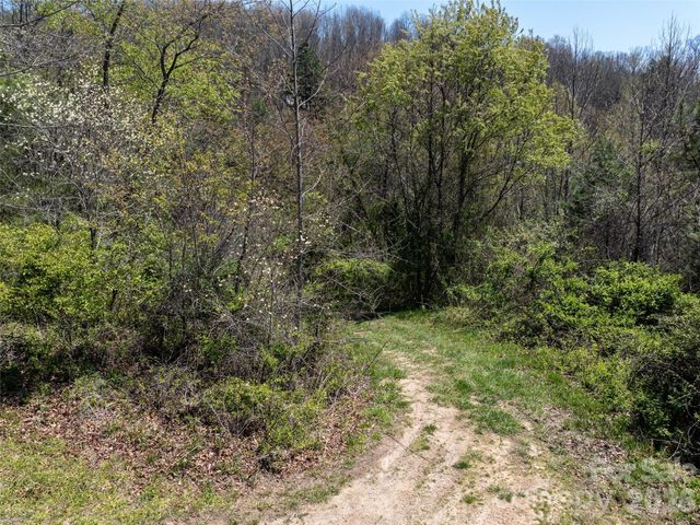 Lot 43 Sunnybrook Trail, Clyde, NC 28721