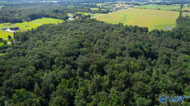 17493 B Seven Mile Post Road, Athens, AL 35611
