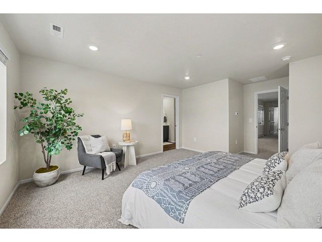1622 Riverplace Dr 1, Windsor, CO 80550