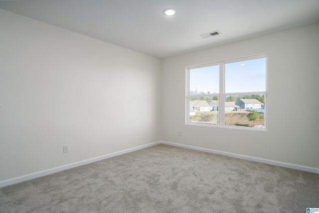 1009 CANVASBACK WAY, Alabaster, AL 35007