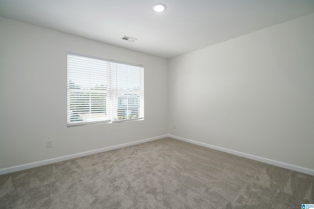 1009 CANVASBACK WAY, Alabaster, AL 35007