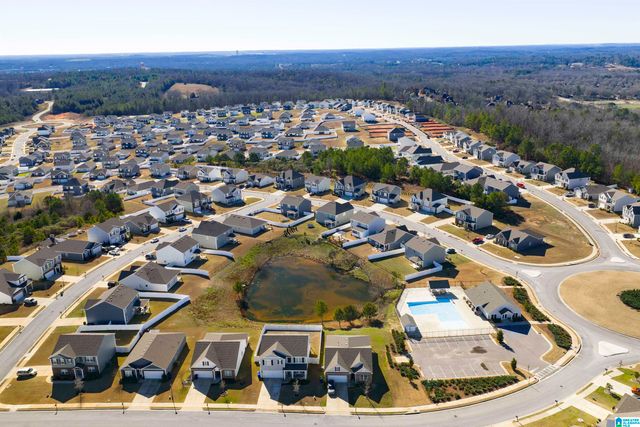 1009 CANVASBACK WAY, Alabaster, AL 35007