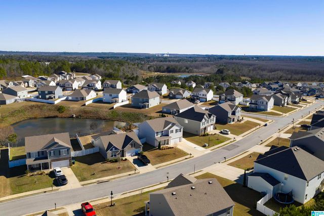 1009 CANVASBACK WAY, Alabaster, AL 35007