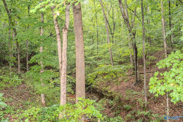 12287 Elk River Mills Road, Athens, AL 35614