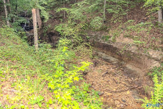 12287 Elk River Mills Road, Athens, AL 35614