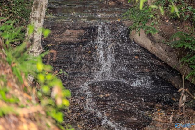 12287 Elk River Mills Road, Athens, AL 35614