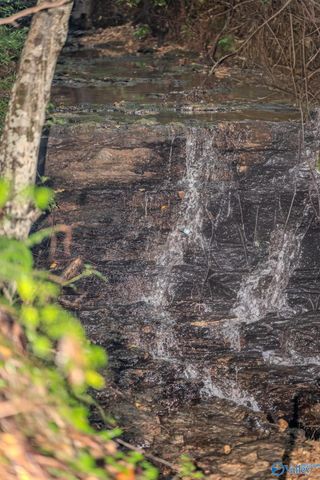 12287 Elk River Mills Road, Athens, AL 35614