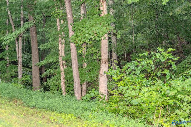 12287 Elk River Mills Road, Athens, AL 35614