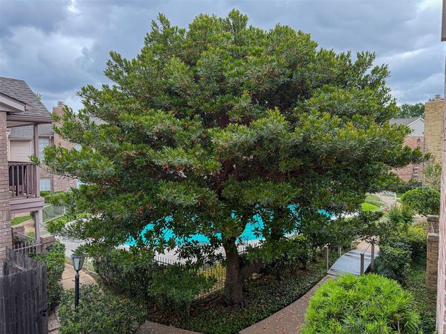 3100 Jeanetta Street 1104, Houston, TX 77063