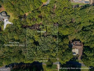 0 Plum Lane, Clarkesville, GA 30523