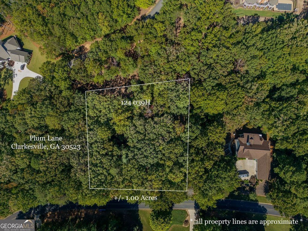 0 Plum Lane, Clarkesville, GA 30523 — exterior