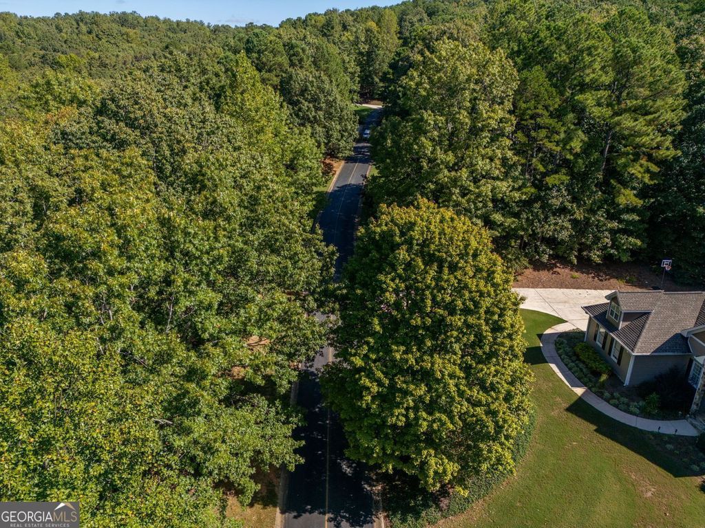0 Plum Lane, Clarkesville, GA 30523 — photo 4