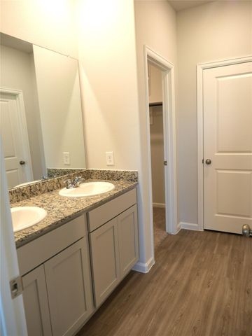 16839 Bristle Cone Way, Conroe, TX 77302