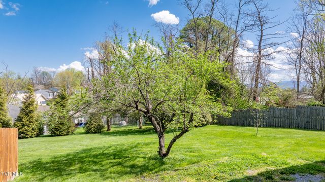 1503 Virginia Street, Johnson City, TN 37604