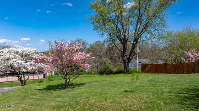 1503 Virginia Street, Johnson City, TN 37604