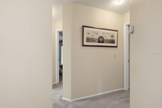6810 PLUMLEAF COURT, Spring Hill, FL 34606