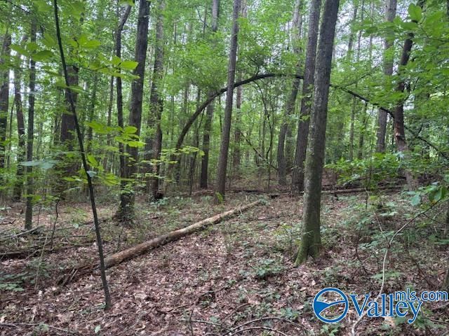 124 Cedar Lane, Reece City, AL 35954