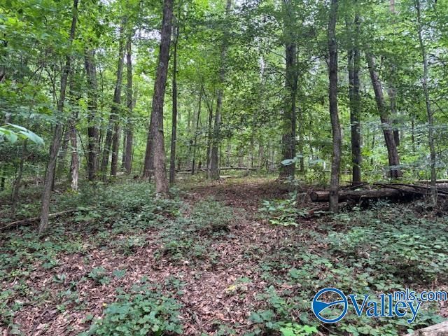 124 Cedar Lane, Reece City, AL 35954