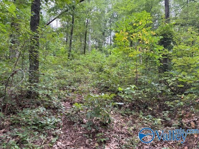 124 Cedar Lane, Reece City, AL 35954