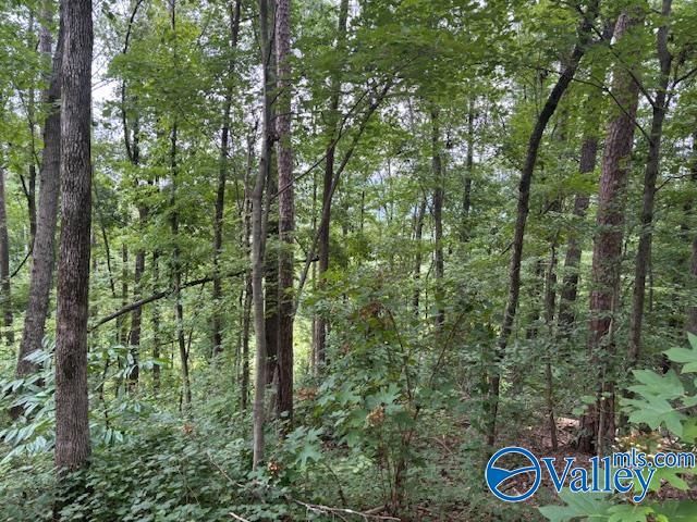 124 Cedar Lane, Reece City, AL 35954